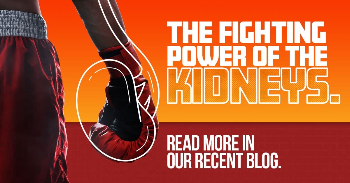 The fighting power of the kidneys. Read more in our recent blog! Boxing gloves shaped like kidneys