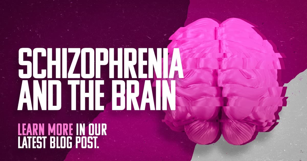 Schizophrenia and the Brain